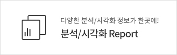 분석/시각화 리포트