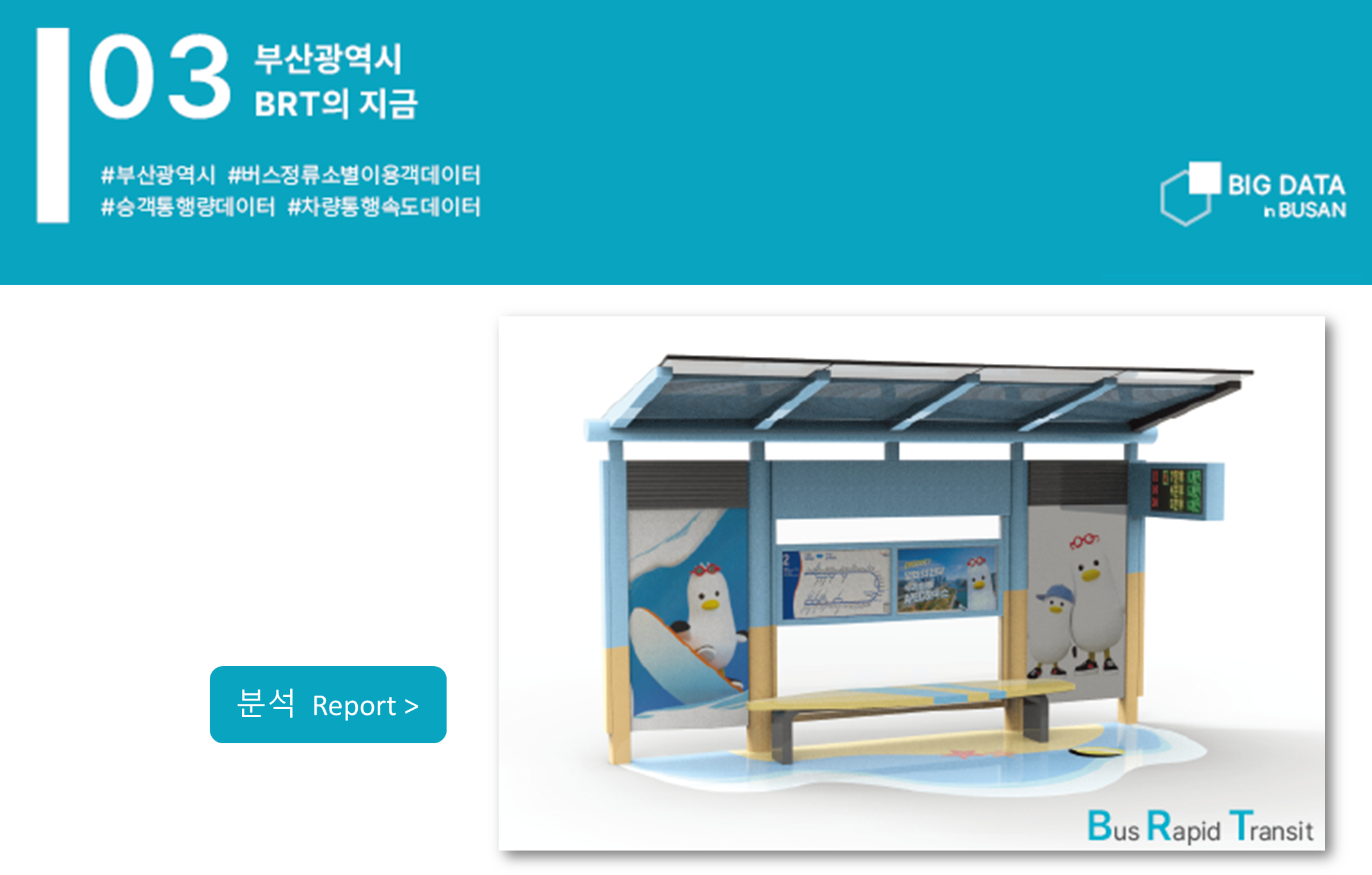 부산광역시 BRT의 지금