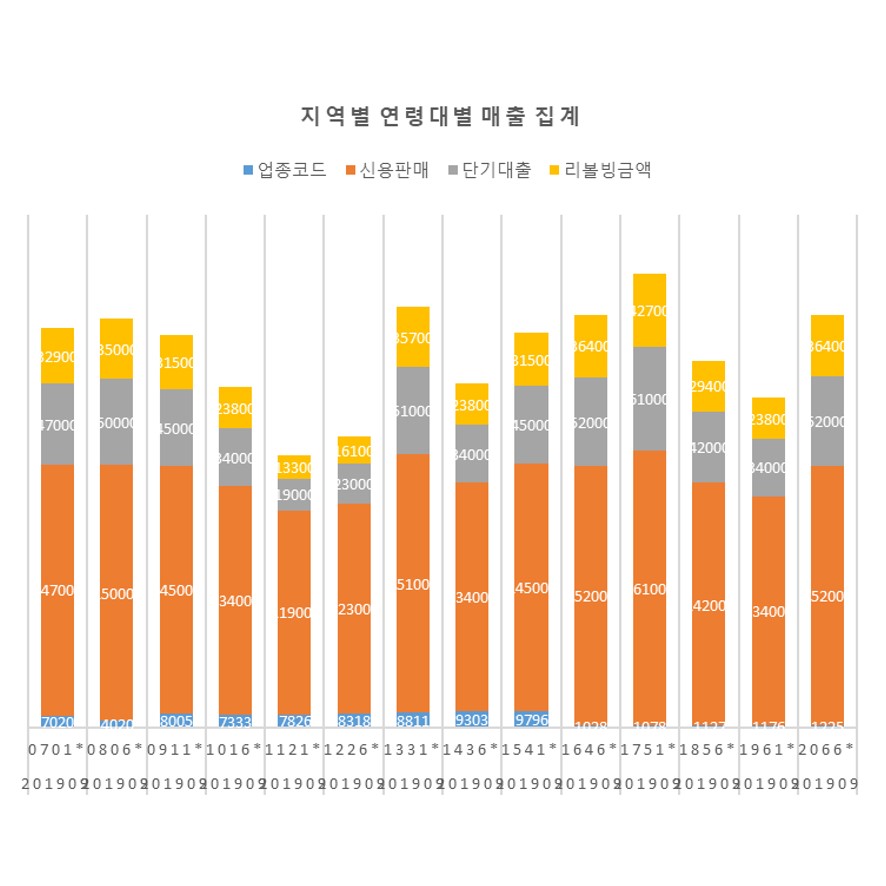 거주지역별 성별, 연령별 카드 매출집계